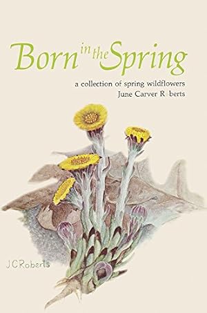 Image du vendeur pour Born in the Spring: A Collection Of Spring Wildflowers mis en vente par ZBK Books