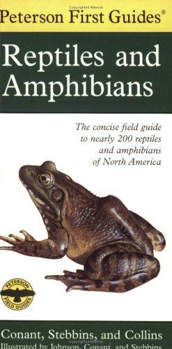 Imagen del vendedor de Peterson First Guide To Reptiles And Amphibians a la venta por Giant Giant