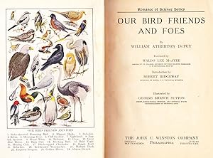 Our Bird Friends and Foes