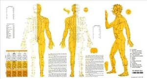 Bild des Verkufers fr Touch for Health Meridian Chart : Acupuncture Meridian Chart zum Verkauf von GreatBookPrices