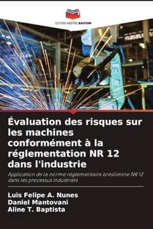 Seller image for valuation des risques sur les machines conformment  la rglementation NR 12 dans l'industrie for sale by BuchWeltWeit Ludwig Meier e.K.