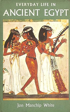 Bild des Verkufers fr Everyday Life in Ancient Egypt zum Verkauf von M Godding Books Ltd