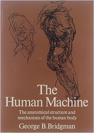 The human machine: The anatomical structure and mechanism of the human body