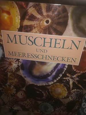 Bild des Verkufers fr Muscheln und Meeresschnecken zum Verkauf von Verlag Robert Richter