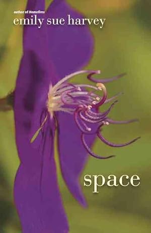 Seller image for Space (Paperback) for sale by CitiRetail
