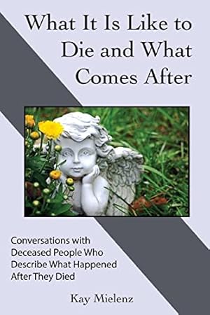 Image du vendeur pour What It Is Like to Die and What Comes After: Conversations with Deceased People Who Describe What Happened After They Died mis en vente par WeBuyBooks