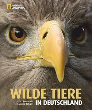 Immagine del venditore per Wilde Tiere in Deutschland Mit einem Vorwort von Andreas Kieling venduto da primatexxt Buchversand