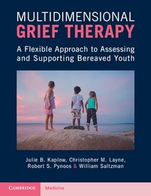 Imagen del vendedor de Multidimensional Grief Therapy : A Flexible Approach to Assessing and Supporting Bereaved Youth a la venta por GreatBookPrices