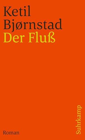 Bild des Verkufers fr Der Flu zum Verkauf von AHA-BUCH GmbH