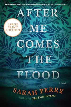 Seller image for After Me Comes the Flood for sale by moluna