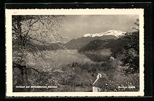 Ansichtskarte Dellach a. Millstättersee, Ortsansicht aus der Vogelschau