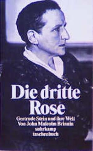 Imagen del vendedor de Die dritte Rose Gertrude Stein und ihre Welt a la venta por antiquariat rotschildt, Per Jendryschik