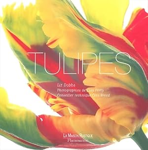 Tulipes - Liz Dobbs