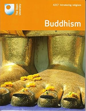 Seller image for BUDDHISM Study Guide for sale by WeBuyBooks