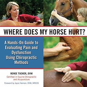 Seller image for Where Does My Horse Hurt? : A Hands-On Guide to Evaluating Pain and Dysfunction Using Chiropractic Methods for sale by GreatBookPrices