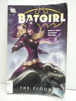 Batgirl: The Flood