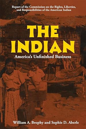 Seller image for The Indian: America  s Unfinished Business for sale by BuenaWave