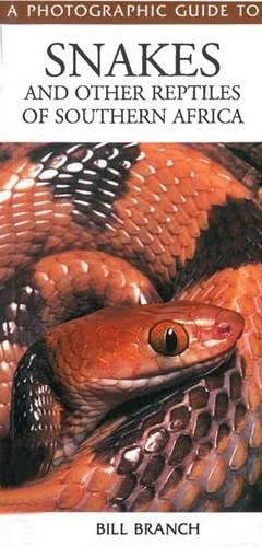 Seller image for A Photographic Guide to Snakes and Other Reptiles of Southern Africa by Bill Branch (2002) Paperback for sale by savehere619