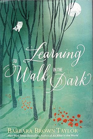 Learning to Walk in the Dark