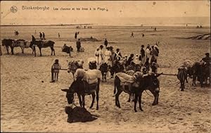 Ansichtskarte / Postkarte Blankenberghe Blankenberge Westflandern, Pferde und Esel am Strand