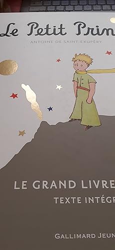 Image du vendeur pour le petit prince le grand livre pop-up texte intgral mis en vente par MBLIVRES