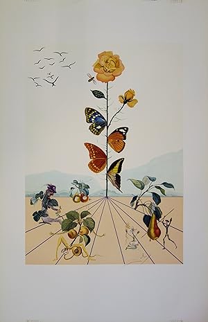 Seller image for Salvador DALI : Flordali II, La rose papillon, Lithographie originale signe for sale by Artfever