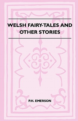 Imagen del vendedor de Welsh Fairy-Tales And Other Stories (Paperback or Softback) a la venta por BargainBookStores