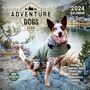 Seller image for Adventure Dogs 2024 Wall Calendar: Hiking, Camping, and Traveling with Courageous Canines (Calendar) for sale by BargainBookStores