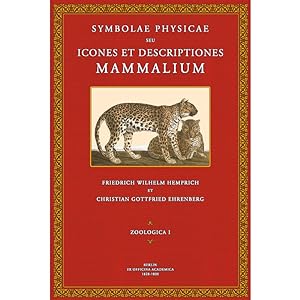 Bild des Verkufers fr Symbolae Physicae - Zoologica 1: Mammalia zum Verkauf von Antiquariat  Fines Mundi