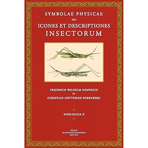Bild des Verkufers fr Symbolae Physicae - Zoologica 2: Insecta zum Verkauf von Antiquariat  Fines Mundi