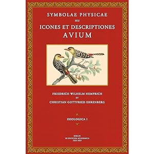 Bild des Verkufers fr Symbolae Physicae - Zoologica 1: Aves zum Verkauf von Antiquariat  Fines Mundi