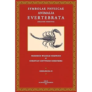 Bild des Verkufers fr Symbolae Physicae - Zoologica 2: Animalia Evertebrata zum Verkauf von Antiquariat  Fines Mundi