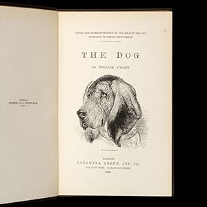 Bild des Verkufers fr The dog zum Verkauf von Douglas Stewart Fine Books
