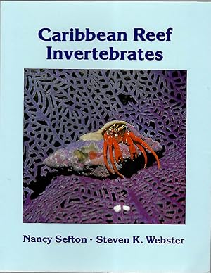 Seller image for A Field Guide to Caribbean Reef Invertebrates for sale by PEMBERLEY NATURAL HISTORY BOOKS BA, ABA