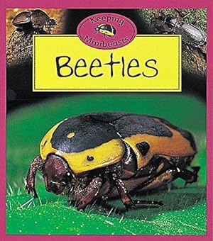 Seller image for Keeping Mini Beasts: Beetles for sale by WeBuyBooks
