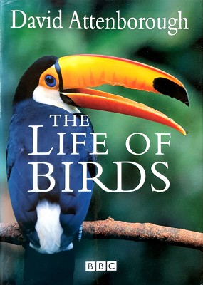 The Life Of Birds