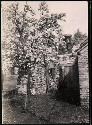 Fotografie 1.WK, W. Braemer, Berlin, Unterstand-Sandsackstellung von Frühlingsblüten verdeckt