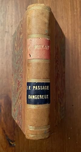 Imagen del vendedor de Le passage dangereux a la venta por Librairie des Possibles