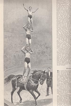 Die 3 italienischen Akrobaten Fratelli Frediani zu Pferd im Zirkus Busch. 1 Abbildung mit einem A...