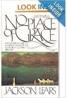 Bild des Verkufers fr No Place of Grace: Antimodernism and the Transformation of American Culture, 1880-1920 zum Verkauf von Redux Books