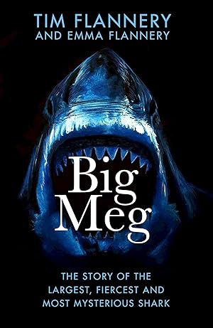 Bild des Verkufers fr Big Meg zum Verkauf von moluna