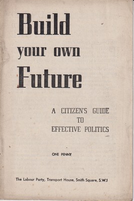 Immagine del venditore per Build Your Own Future: A Citizen's Guide to Executive Politics venduto da Kennys Bookshop and Art Galleries Ltd.