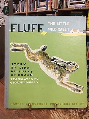 Fluff the Little Wild Rabbit