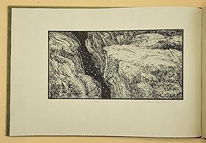 Looking in a Deeper Lair: A Tribute to Wallace Stegner (with signed intaglio print by Suellen Lar...
