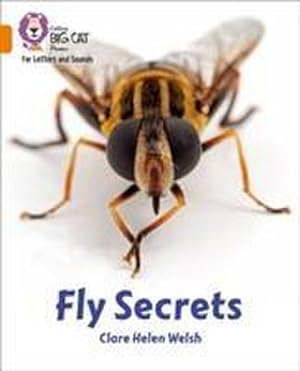 Seller image for Fly Secrets for sale by Smartbuy
