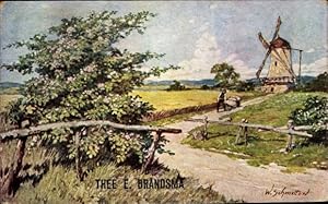 Künstler Ansichtskarte / Postkarte Schmettow, W., Windmühle, Bauer, Schubkarre, Blühender Baum