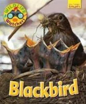 Bild des Verkufers fr Wildlife Watchers: Blackbird zum Verkauf von Smartbuy