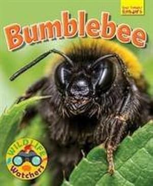 Bild des Verkufers fr Wildlife Watchers: Bumblebee zum Verkauf von Smartbuy