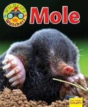 Bild des Verkufers fr Wildlife Watchers: Mole zum Verkauf von Smartbuy