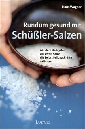 Bild des Verkufers fr Rundum gesund mit Schssler-Salzen. Mit dem Heilsystem der zwlf Salze die Selbstheilungskrfte aktivieren zum Verkauf von Gerald Wollermann